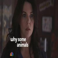 STAGE TUBE: Lauren Graham's Back on the Small Screen in PARENTHOOD Video